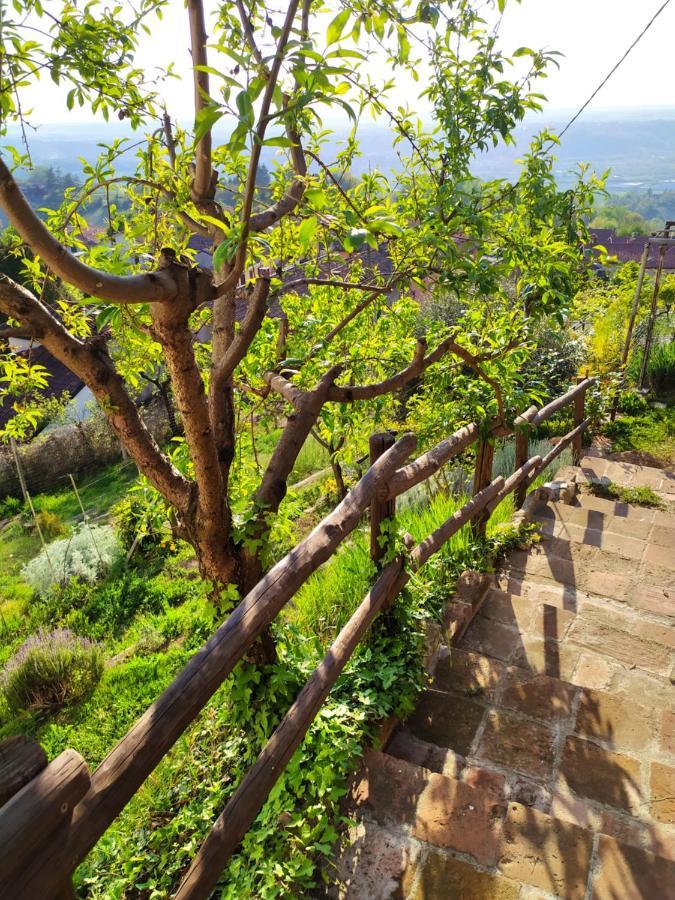 Casa Mantel Holiday Home Panoramic view in Langhe Novello Esterno foto
